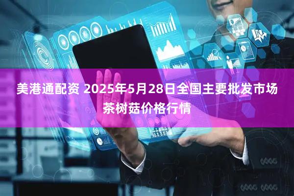 美港通配资 2025年5月28日全国主要批发市场茶树菇价格行情