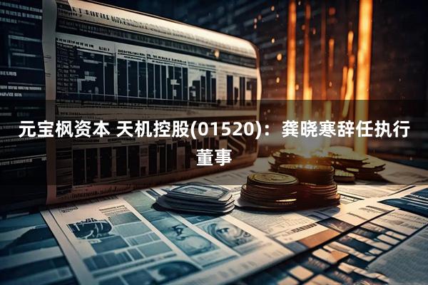 元宝枫资本 天机控股(01520)：龚晓寒辞任执行董事