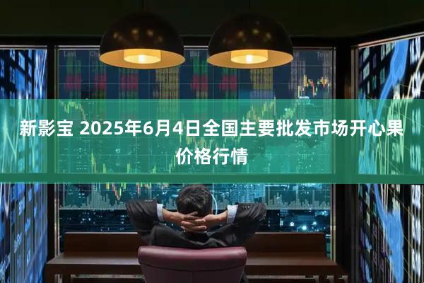 新影宝 2025年6月4日全国主要批发市场开心果价格行情