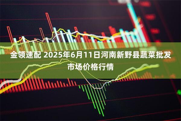 金领速配 2025年6月11日河南新野县蔬菜批发市场价格行情