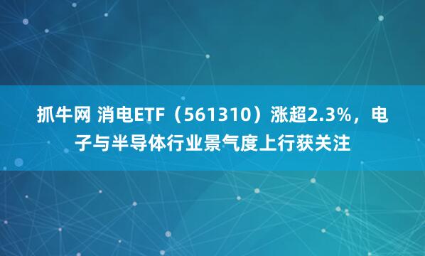 抓牛网 消电ETF（561310）涨超2.3%，电子与半导体行业景气度上行获关注