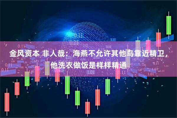 金风资本 非人哉：海燕不允许其他鸟靠近精卫，他洗衣做饭是样样精通