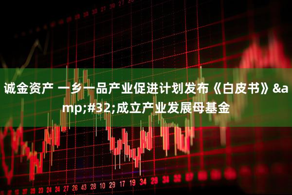 诚金资产 一乡一品产业促进计划发布《白皮书》&#32;成立产业发展母基金