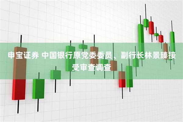 申宝证券 中国银行原党委委员、副行长林景臻接受审查调查