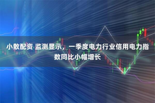 小散配资 监测显示，一季度电力行业信用电力指数同比小幅增长